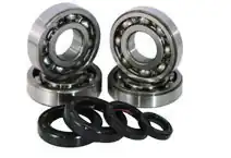 counter balancer bearings inside engine cases