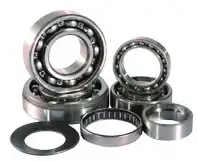 RAPTOR 700 06-16